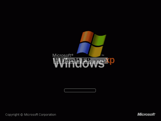 Windows logo screen